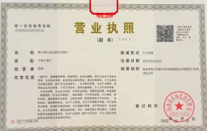 个体工商户怎么报税多久报一次